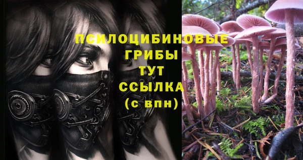 а пвп мука Киренск