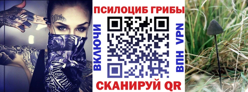 Галлюциногенные грибы MAGIC MUSHROOMS  Купить где  Троицк 
